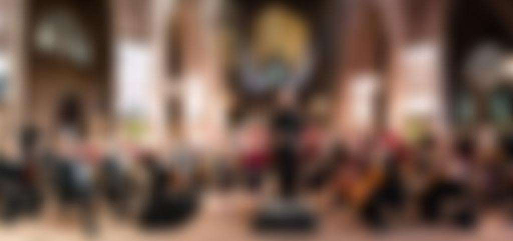 The Wirral Symphony Orchestra | Charici