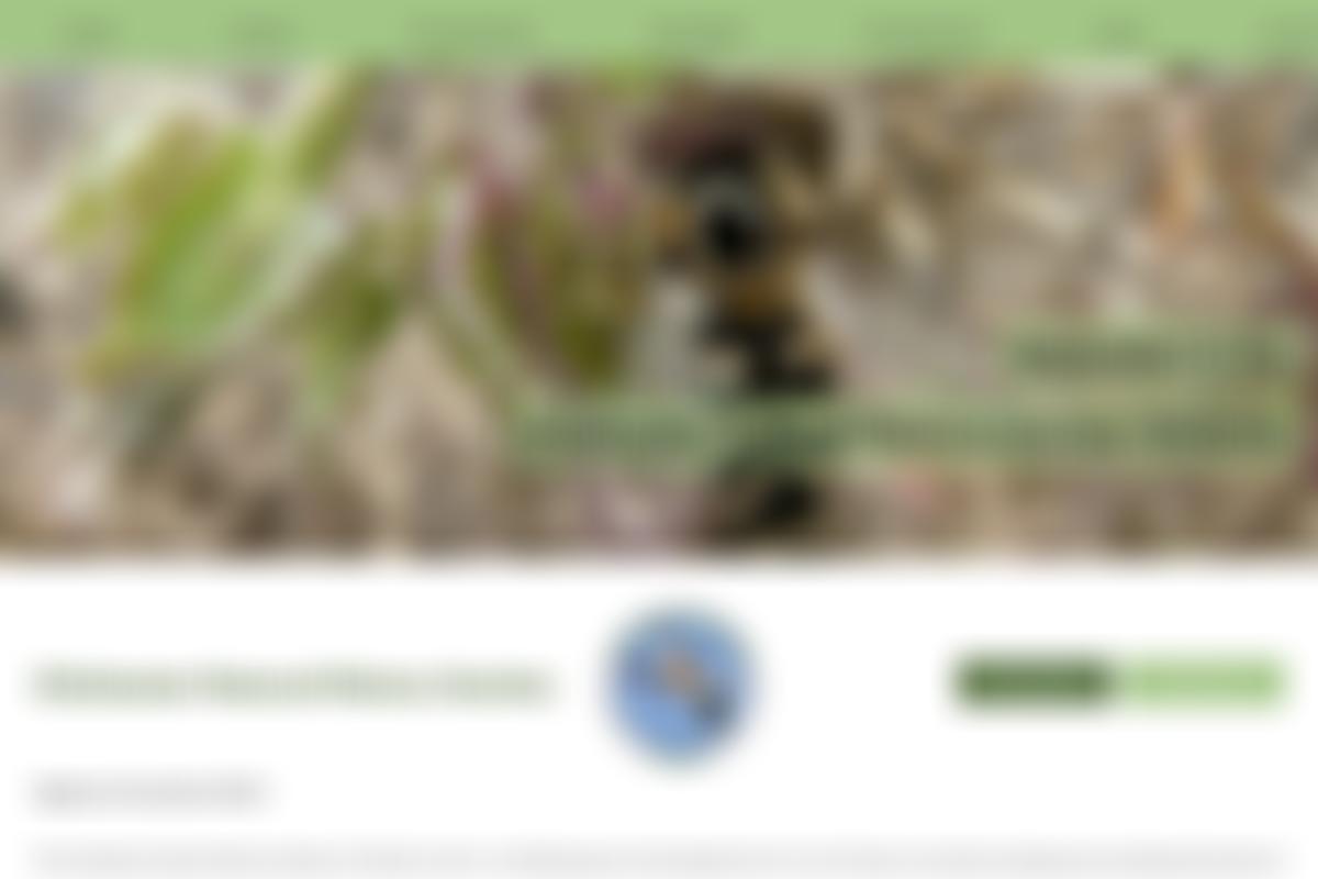 Chichester Natural History Society | Charici