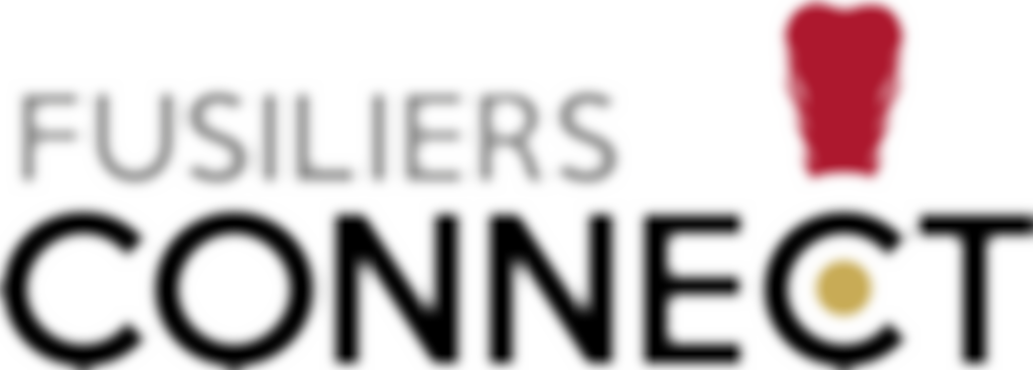 The Royal Regiment Of Fusiliers Aid Society | Charici