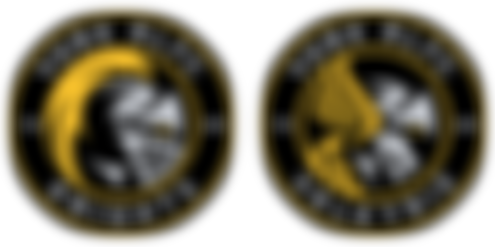 York City Knights Foundation | Charici