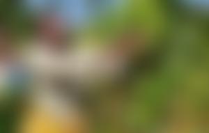 Green Belt Movement International - Europe | Charici