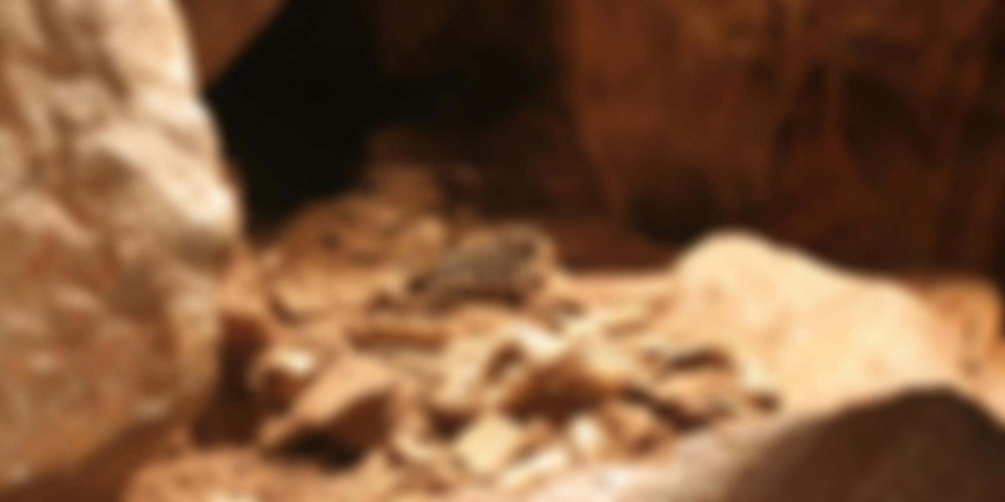 William Pengelly Cave Studies Trust | Charici