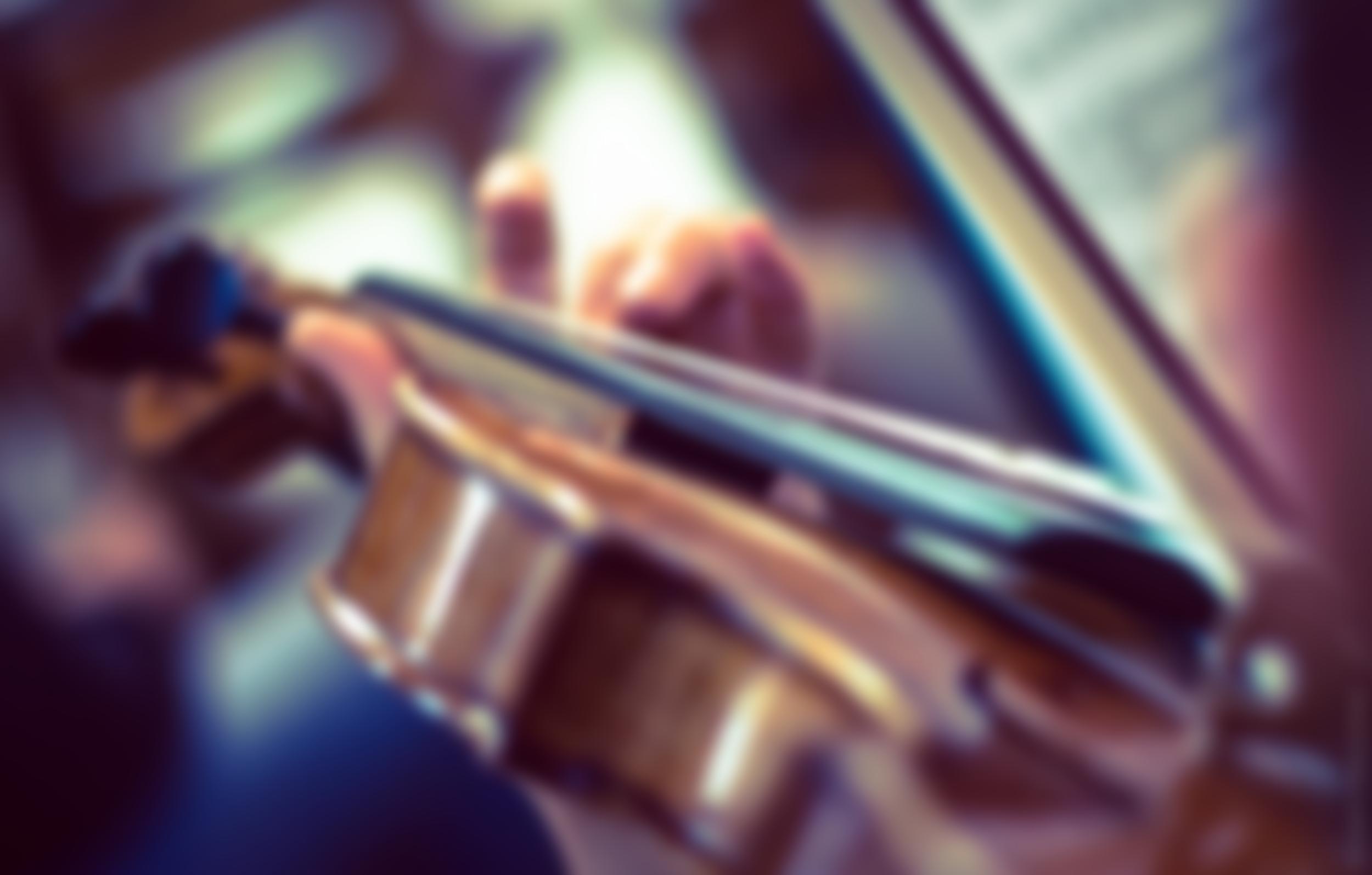 The Hallam Sinfonia | Charici