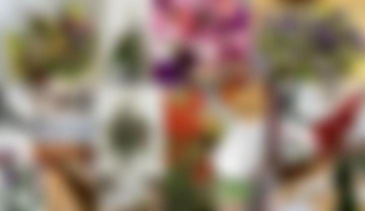 Wem Town Hall Community Trust Ltd | Charici