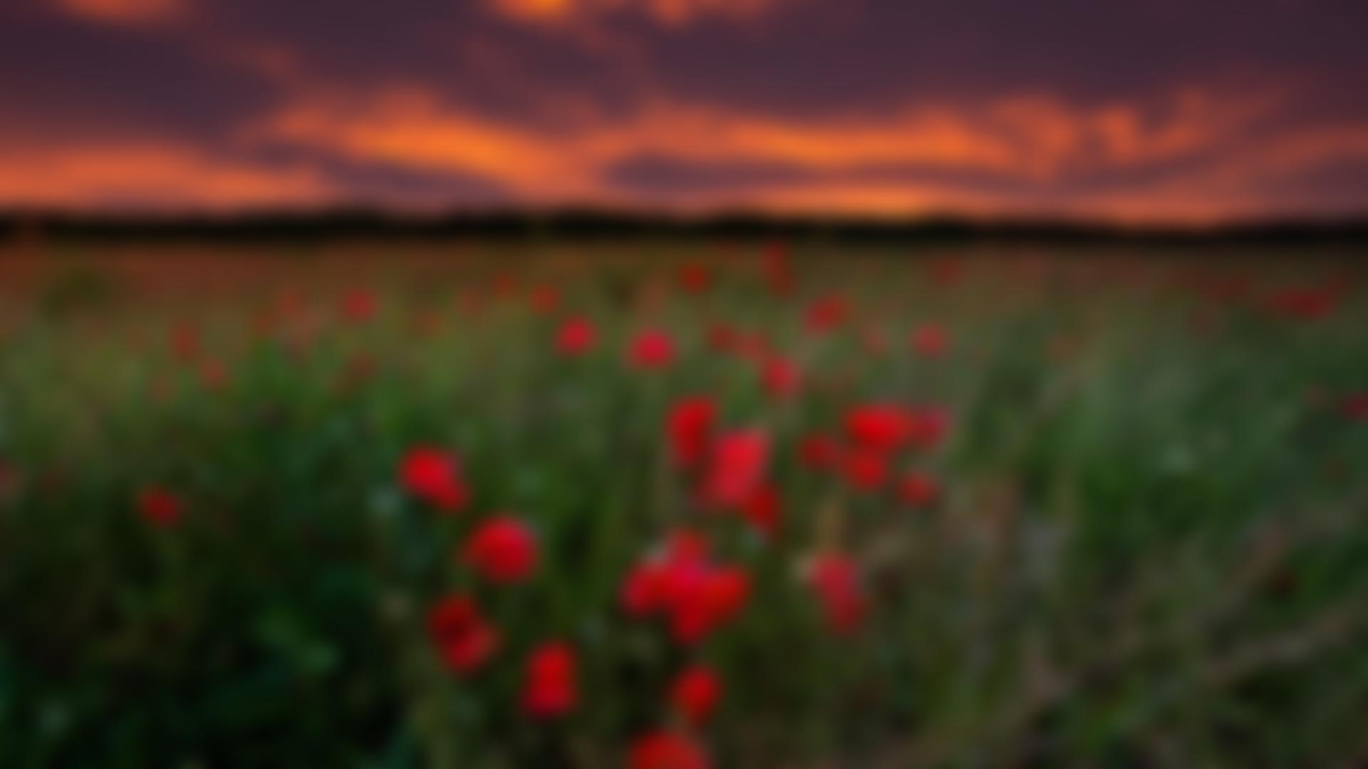 North East War Memorials Project | Charici