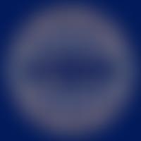 The Rajasthani Foundation | Charici