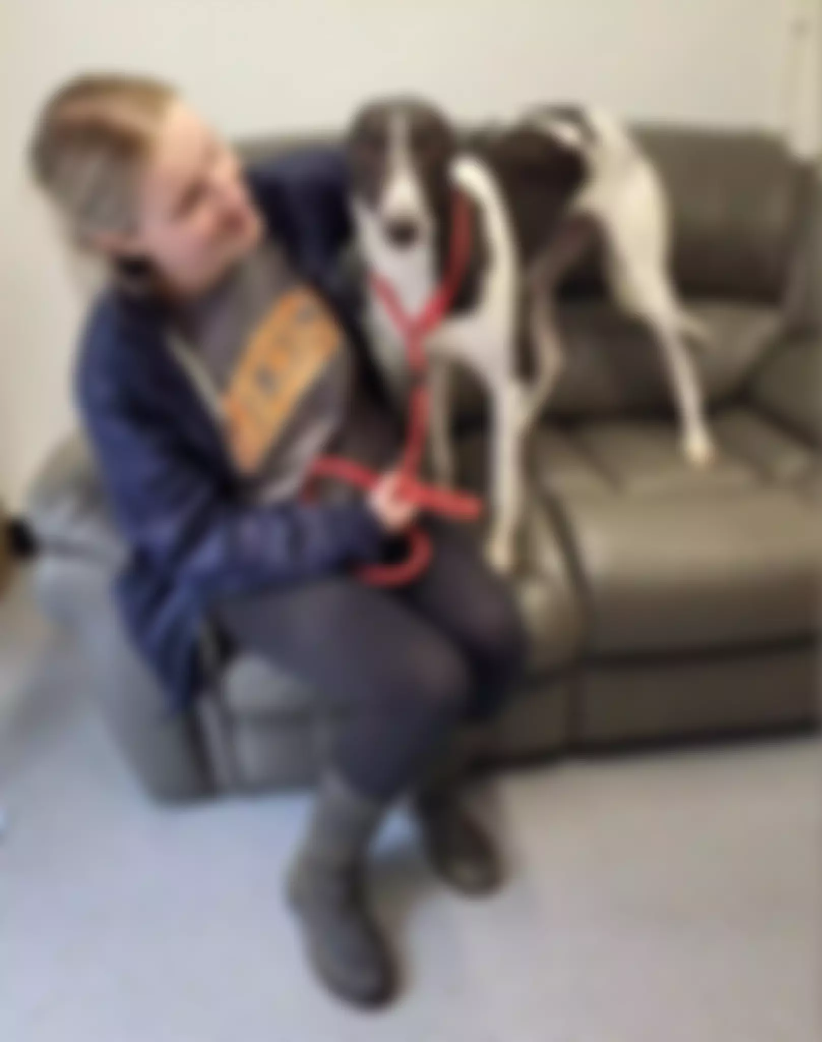 Greyhound Gap | Charici