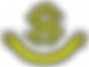 The (Dayalbagh) Radhasoami Satsang Association Of Europe | Charici