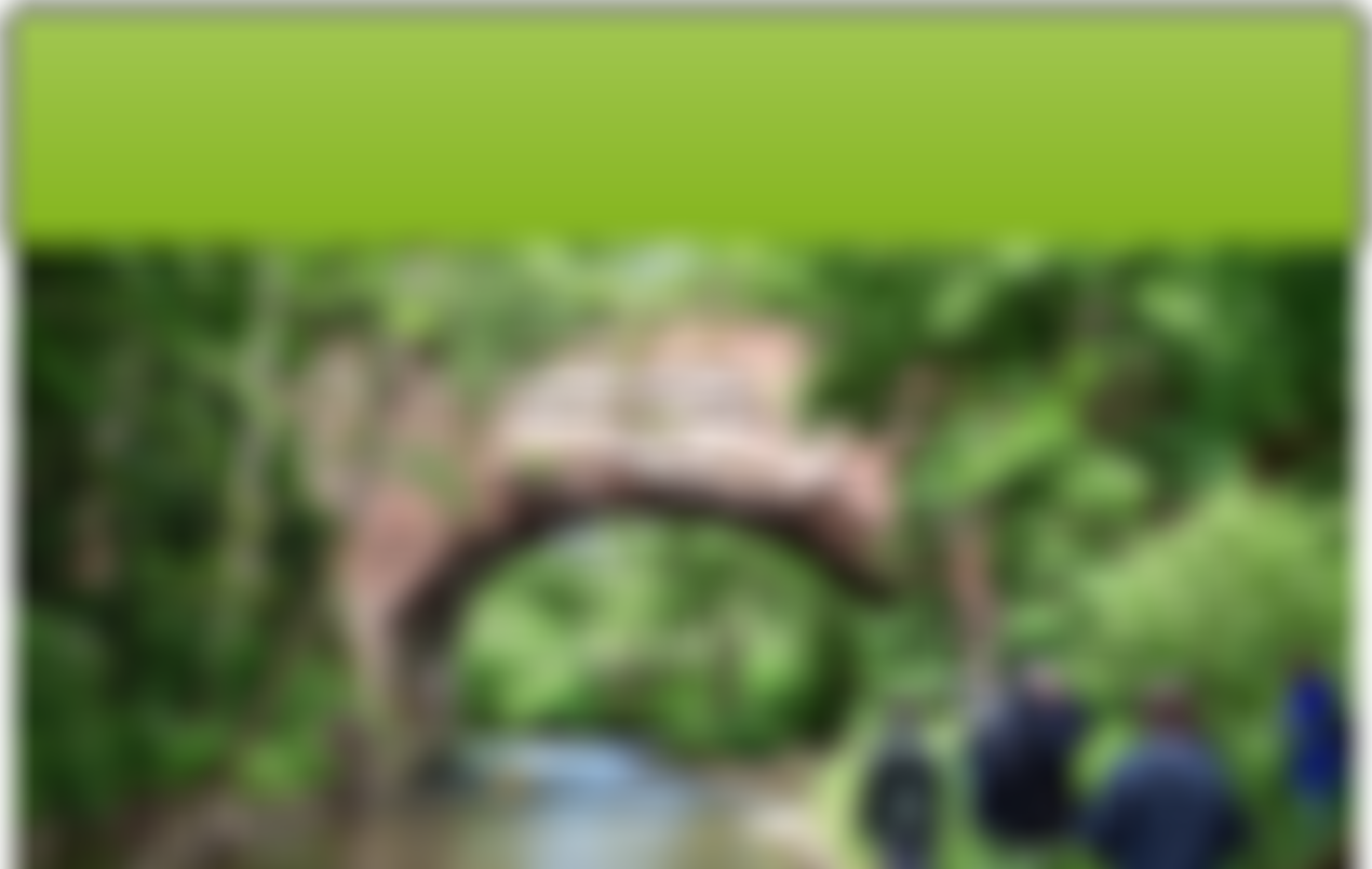 The Friends Of The Leominster Canal | Charici