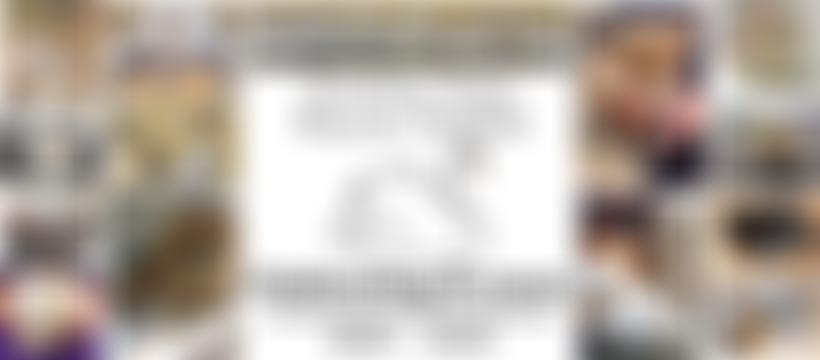 Yorkshire Swan Rescue Hospital | Charici