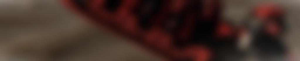 Maryport Rescue | Charici