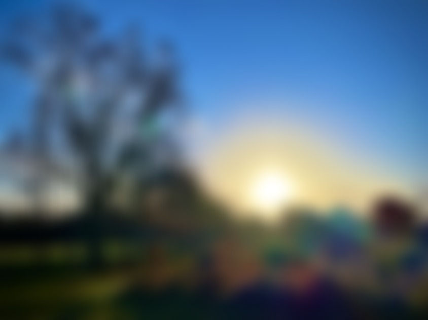 Walton Firs Foundation | Charici