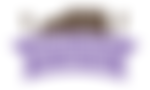 Dickens Heath Village Hall Limited | Charici