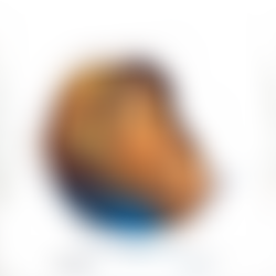 St Mary's Indian Orthodox Church | Charici