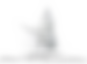 The Friends Of Bedford Cemetery (Foster Hill Road) | Charici