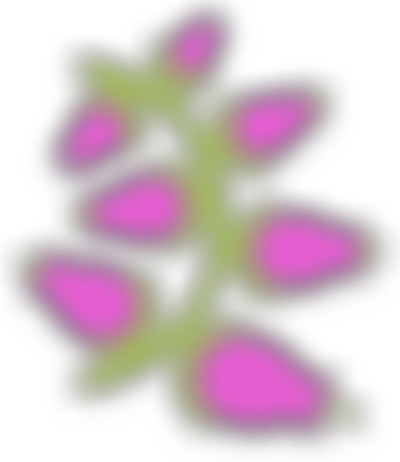 Friends Of Heatherlands | Charici