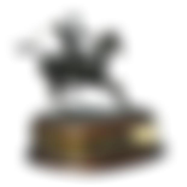 The Chakravarty Cup Limited | Charici