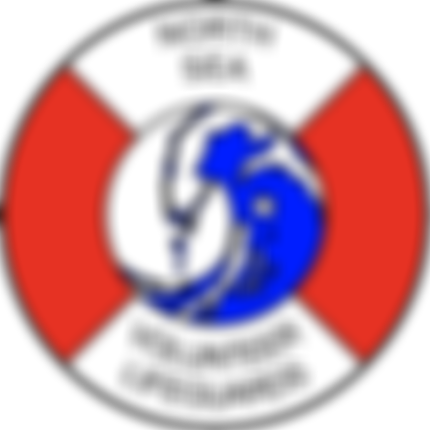 North Sea Volunteer Lifeguards | Charici