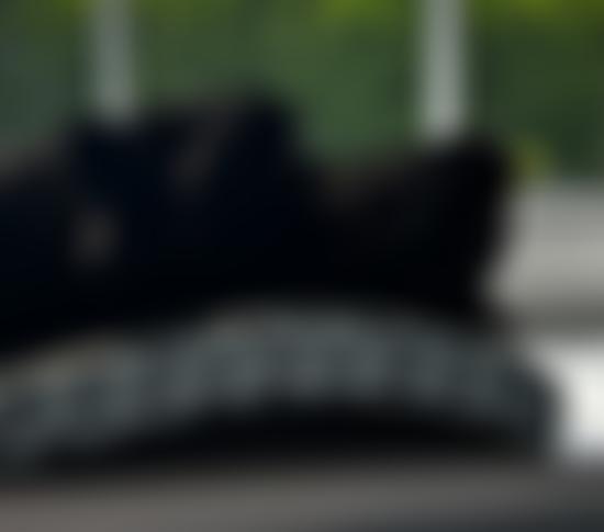 Lincoln Cat Care | Charici