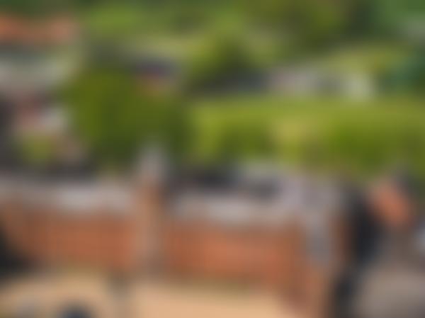 Albert Memorial College | Charici