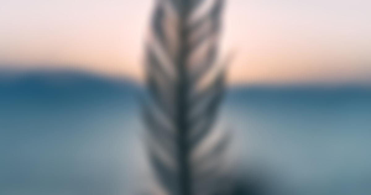 The Glade Foundation | Charici