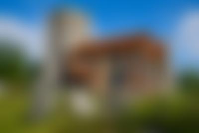 The Friends Of St Mary's Peldon | Charici