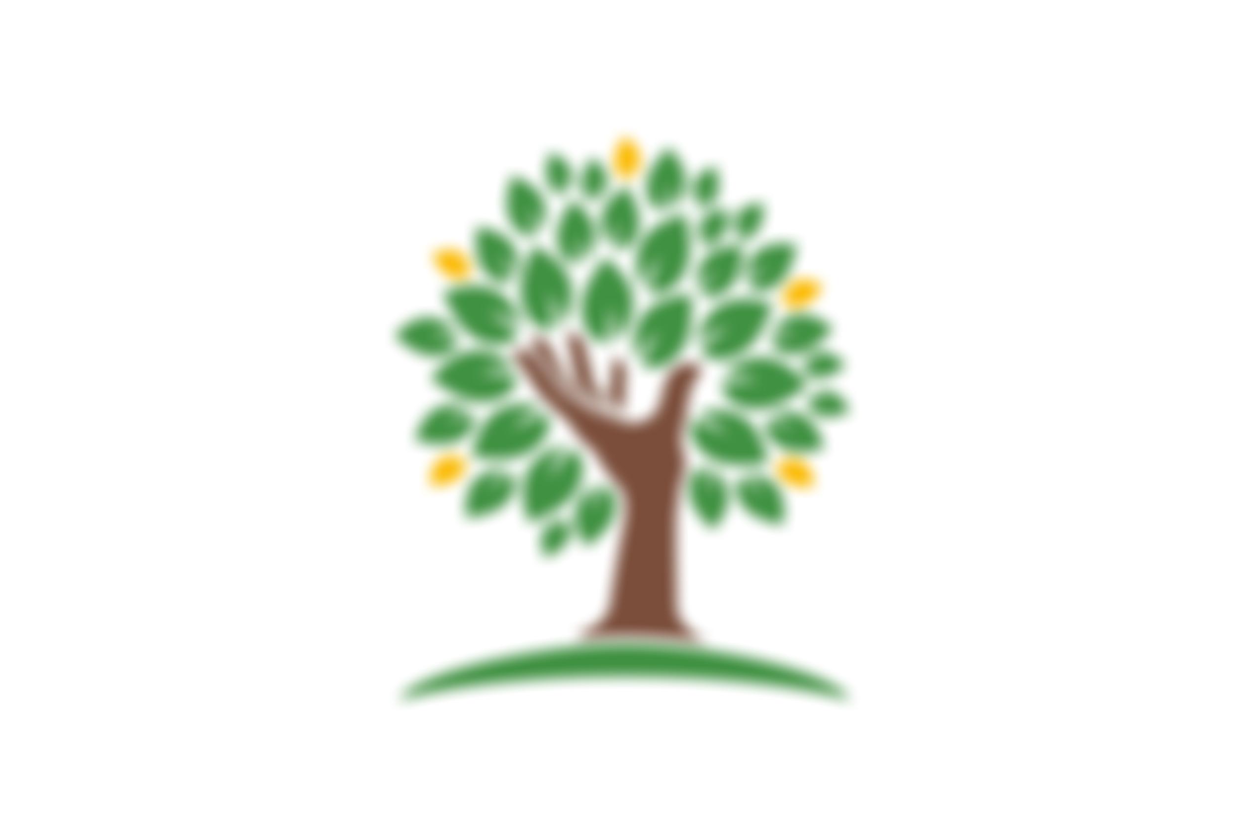 Homefield College Limited | Charici