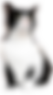 Rain Rescue | Charici