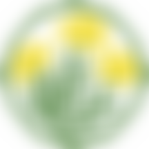 Summercroft Primary School Pta | Charici