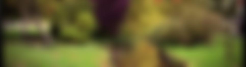 Scopwick And Kirkby Green Village Hall | Charici