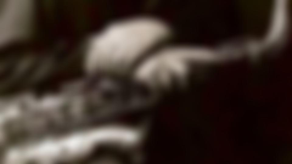 Cheltenham Jazz | Charici