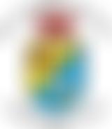 Swansea Male Choir | Charici