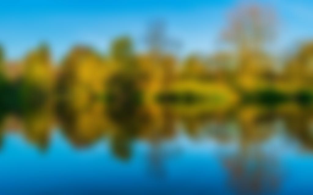 Moseley Park And Pool Trust | Charici