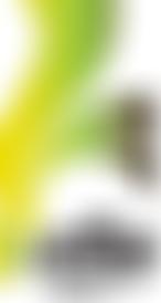 Community Food Enterprise Limited | Charici