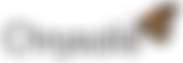 Chrysalis (Cumbria) Ltd | Charici