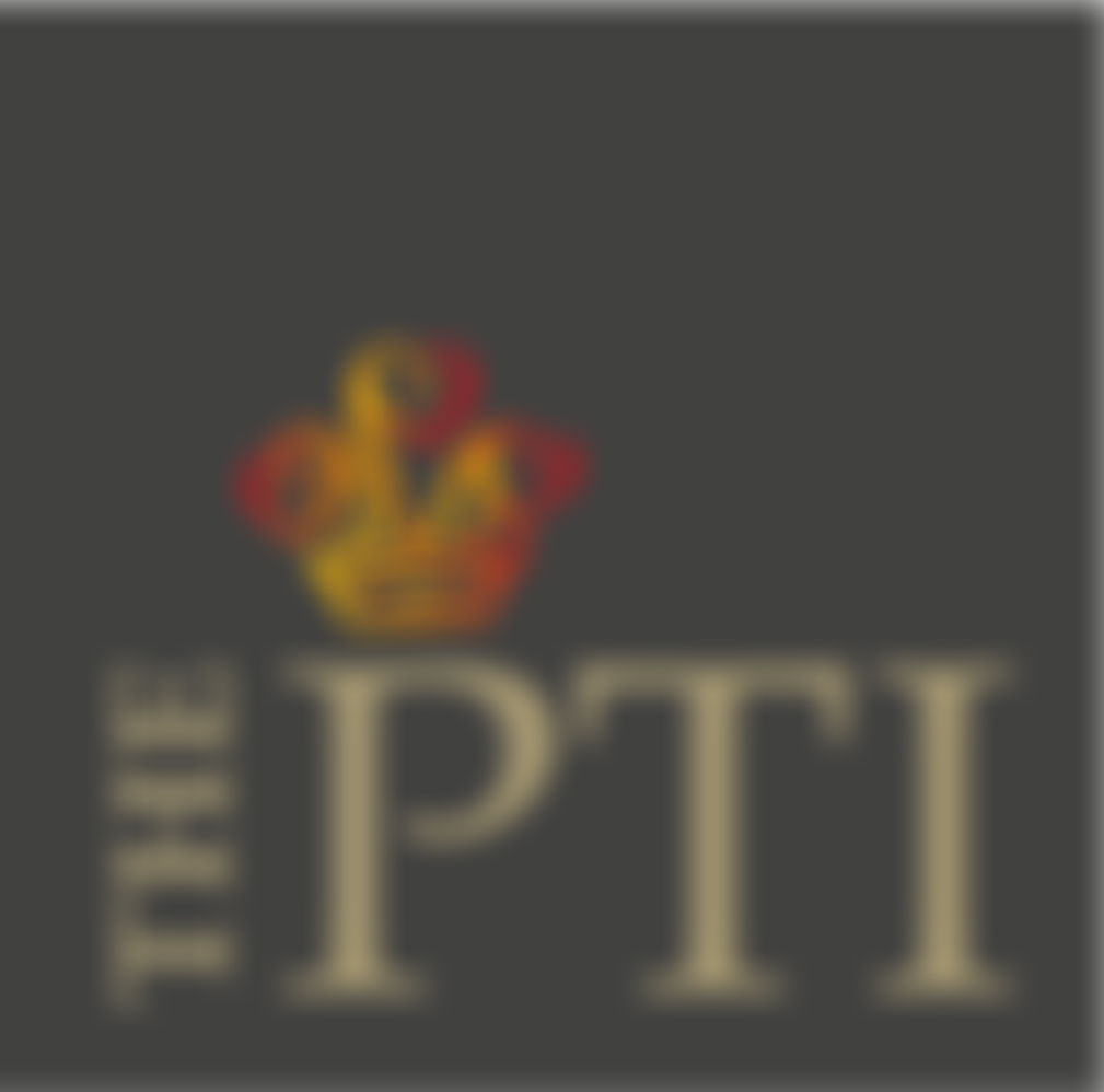 The Professional Teaching Institute | Charici