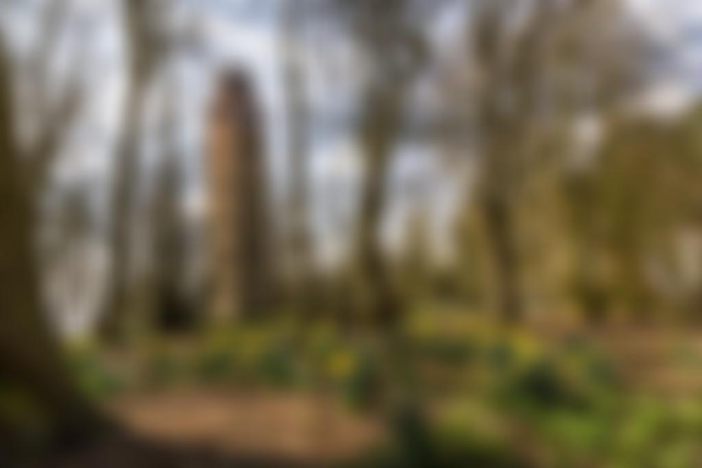 Faringdon And District University Of The Third Age | Charici