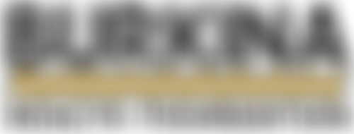 Burkina Health Foundation | Charici