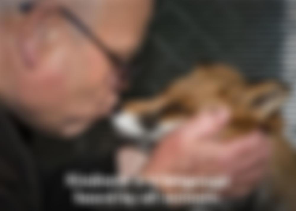 Nuneaton And Warwickshire Wildlife Sanctuary | Charici