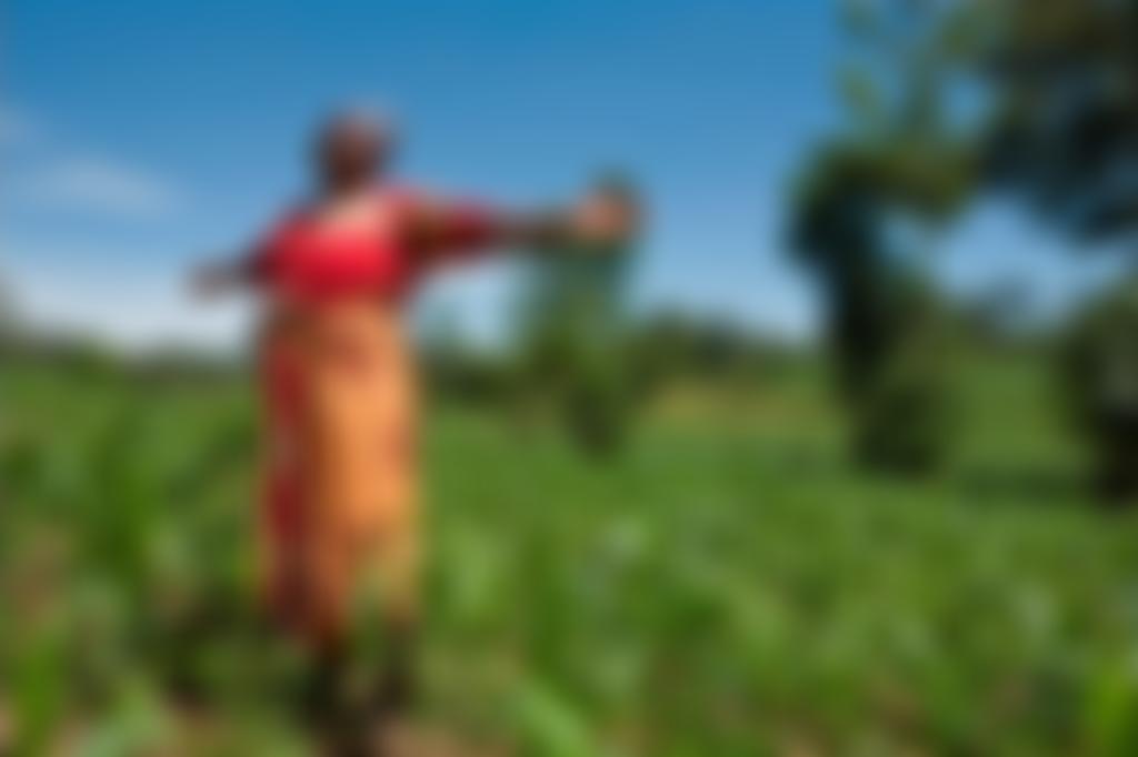 The Maseno Project Trust | Charici