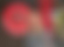 Friends Of Brook Field School | Charici