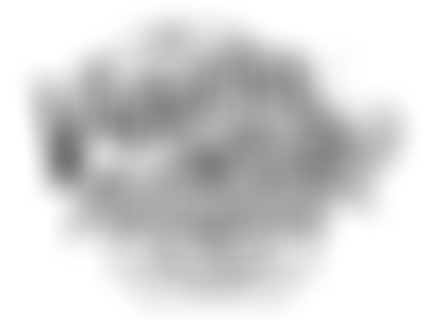 The Victorian Military Society | Charici