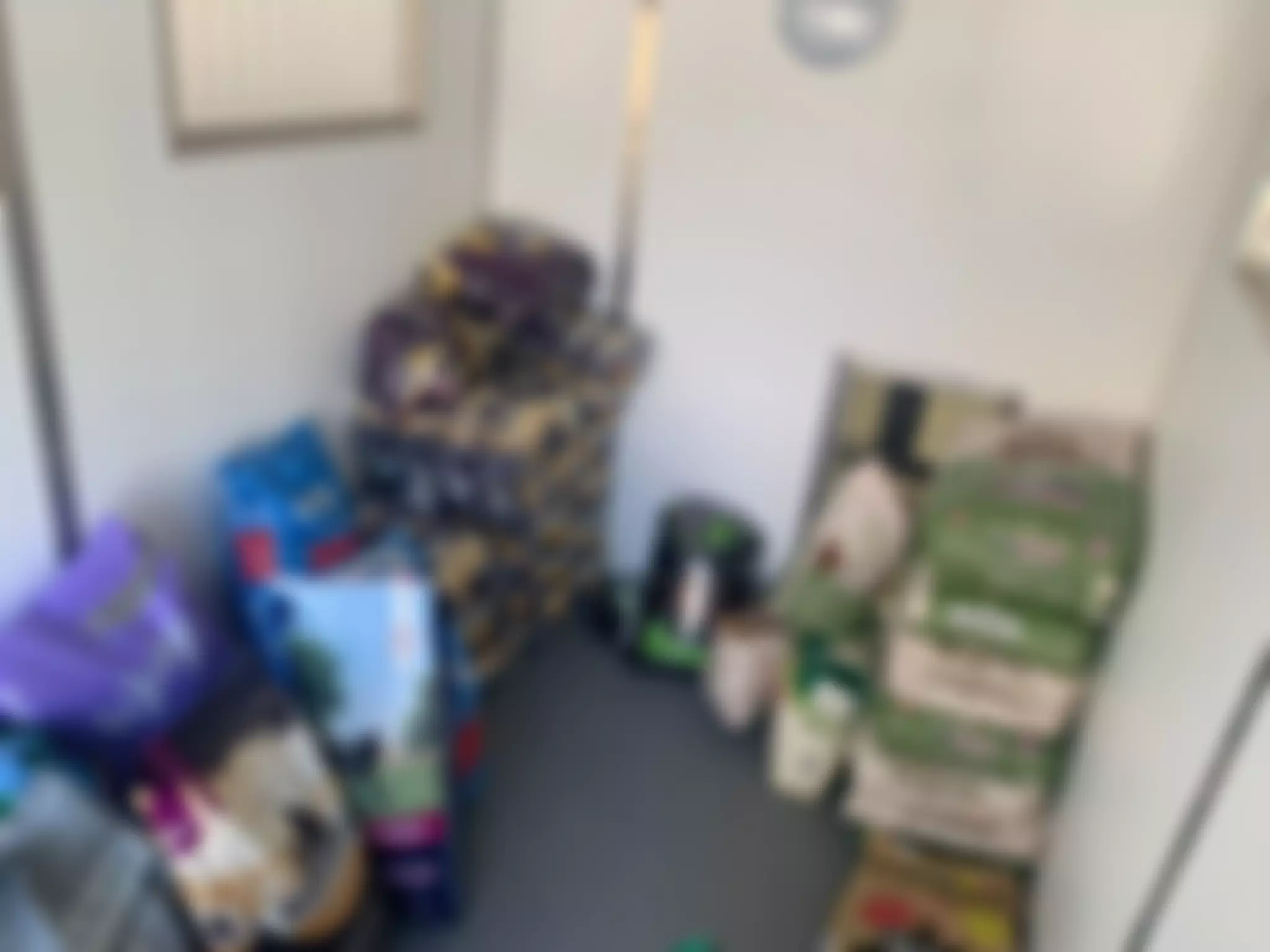 Eden Animal Rescue | Charici