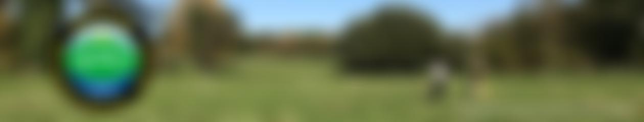 Berkshire Archaeological Society | Charici