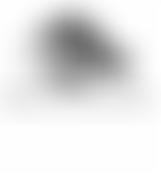 Caerphilly Local History Society | Charici