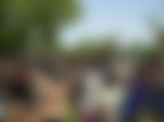 Under Tree Schools | Charici