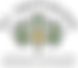 St Swithuns C Of E Primary School Fund | Charici