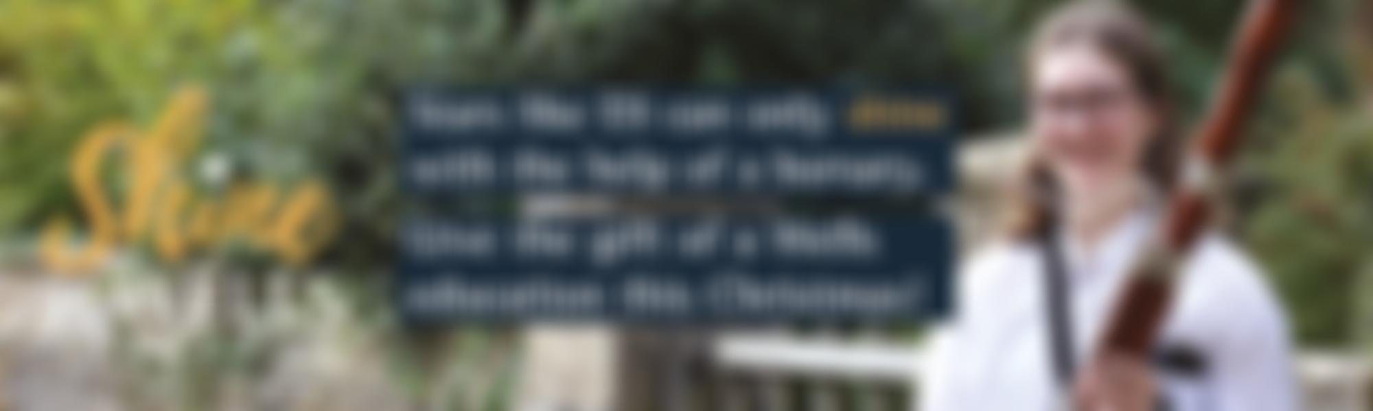 The Wells Cathedral School Foundation | Charici