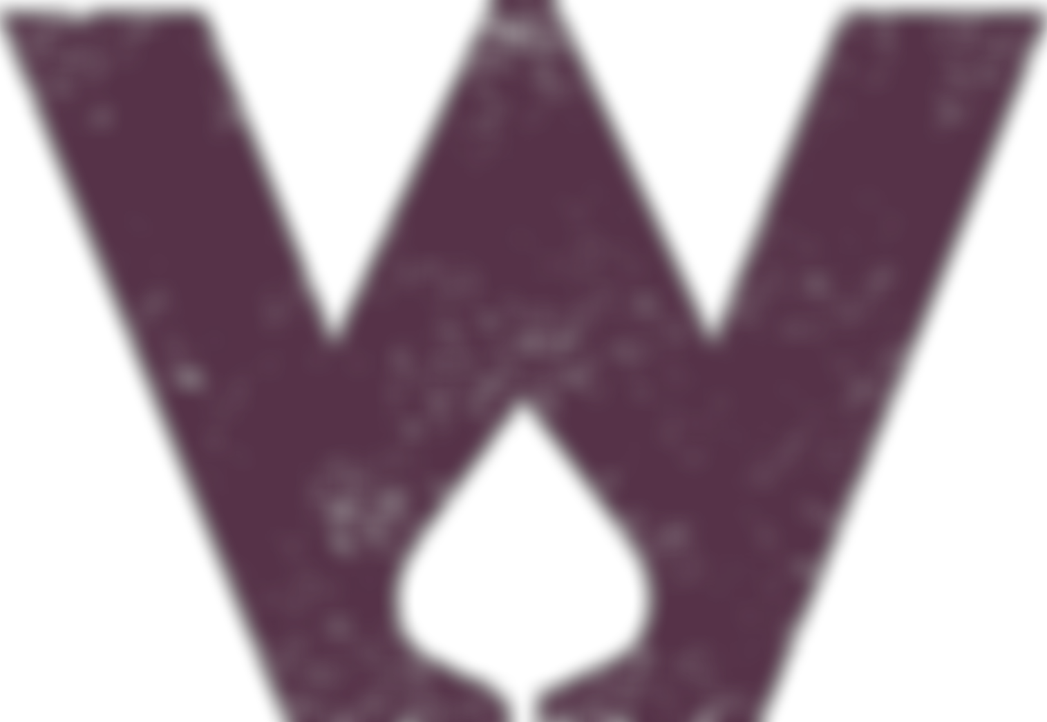 Wilderness Foundation UK | Charici