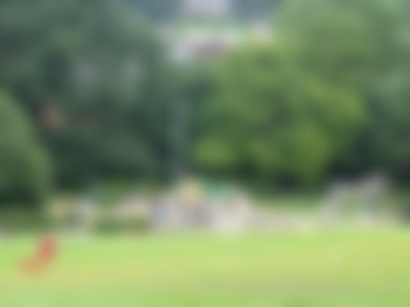 Friends Of Chapeltown Park | Charici